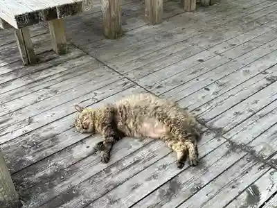 菅原神社の動物