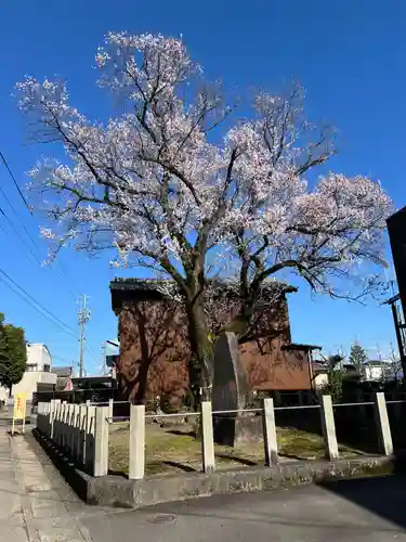手力雄神社(岐阜県)
