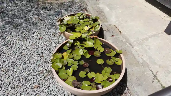 斎田寺(徳島県)