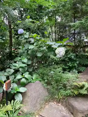 福徳神社（芽吹稲荷）(東京都)
