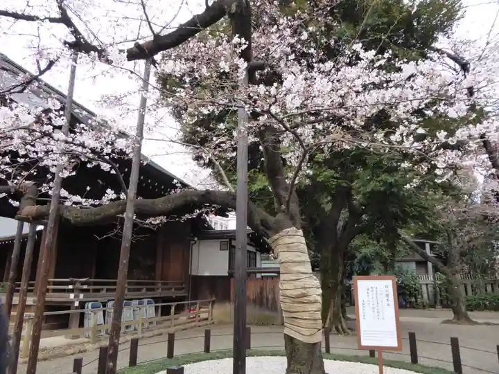 靖國神社(東京都)