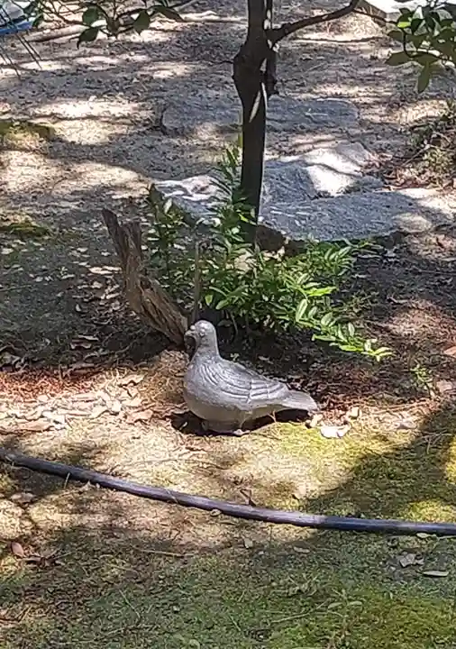 真善寺(新潟県)