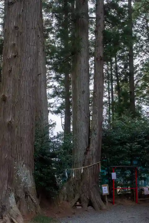 坪沼八幡神社(宮城県)