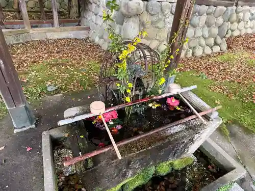白金龍王社の{uncategorized: "未分類", other: "その他", undefined: "問題あり", building: "その他建物", grave: "お墓", sacred_gate: "鳥居", guardian: "狛犬", statue: "像", buddha: "仏像", history: "歴史", nature: "自然", garden: "庭園", animal: "動物", pagoda: "塔", temizu: "手水舎", mountain_gate: "山門・神門", sanctuary: "本殿・本堂", subordinate: "末社・摂社", art: "芸術", scenery: "景色", jizo: "地蔵", ema: "絵馬", goshuin: "御朱印", omikuji: "おみくじ", items: "授与品その他", amulet: "お守り", goshuincho: "御朱印帳", eats: "食事", festival: "お祭り", votive_dance: "神楽", shichigosan: "七五三参", wedding: "結婚式", experience: "体験その他", initially: "初詣", around: "周辺", anti_infection: "感染症対策"}