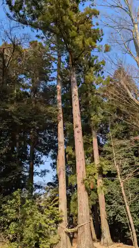 出羽神社の自然