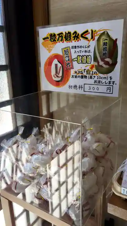 鷹栖神社のおみくじ