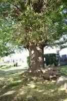 萬福寺(山梨県)