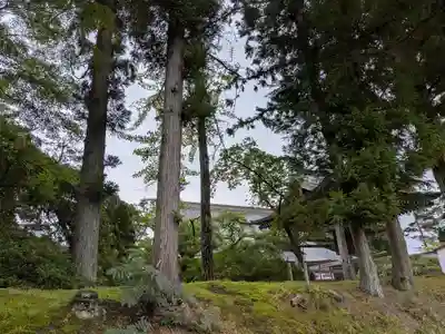 中尊寺金色堂(岩手県)