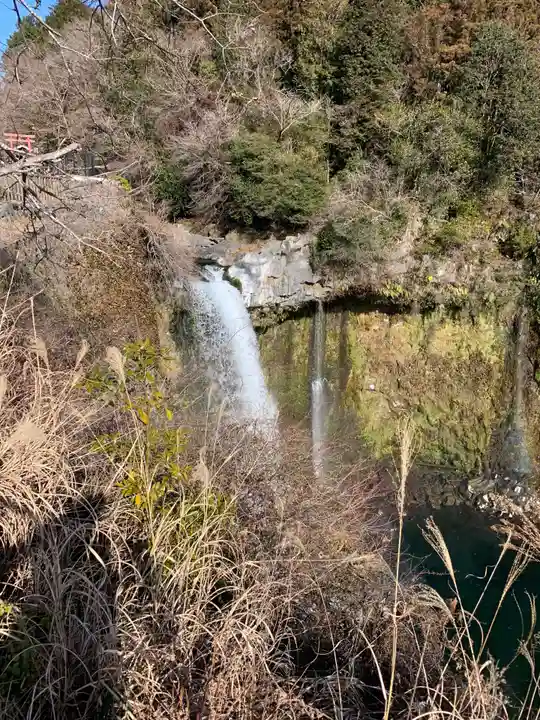 厳磐叢神社の自然