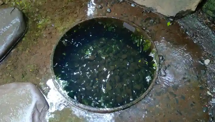 明治神宮(東京都)