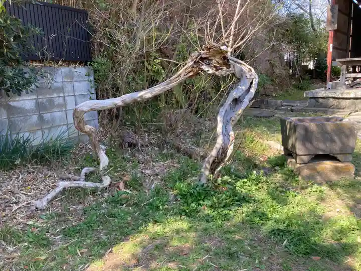 厳島神社(神奈川県)