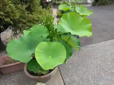 日蓮宗本牧山妙香寺(神奈川県)