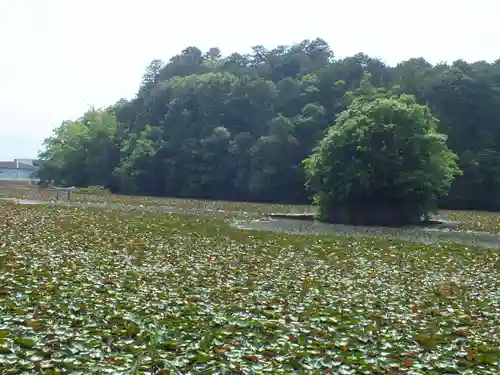 八幡神社(滋賀県)