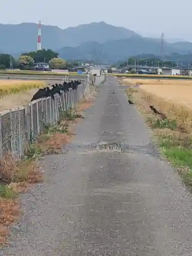 旭稲荷神社の御朱印