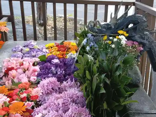 豊平神社の手水