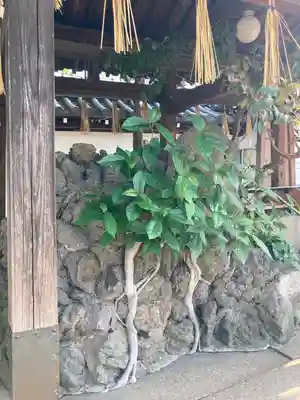 射楯兵主神社(兵庫県)