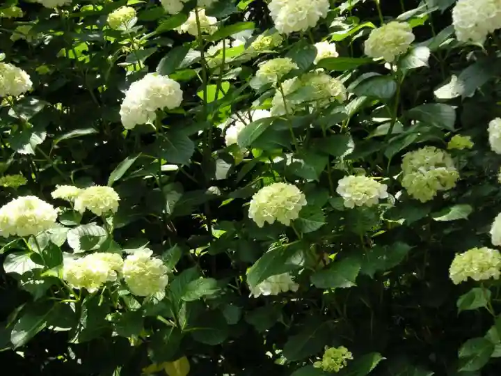 東大寺別院阿弥陀寺(山口県)