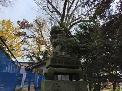 東神楽神社の狛犬