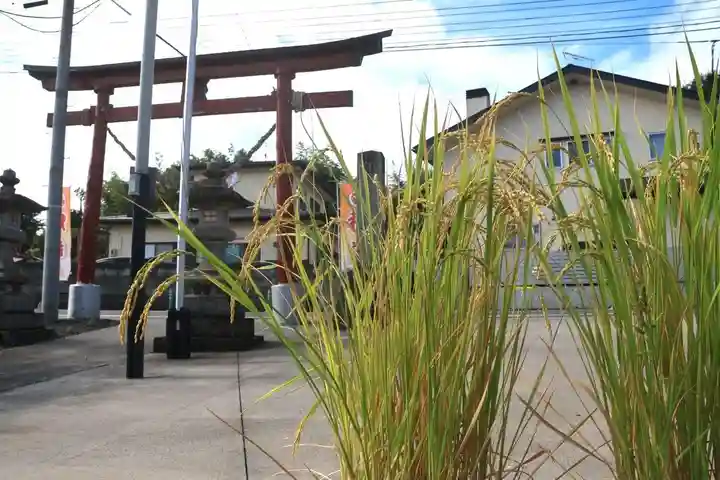 大鏑神社の自然