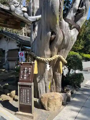 伊古奈比咩命神社の自然
