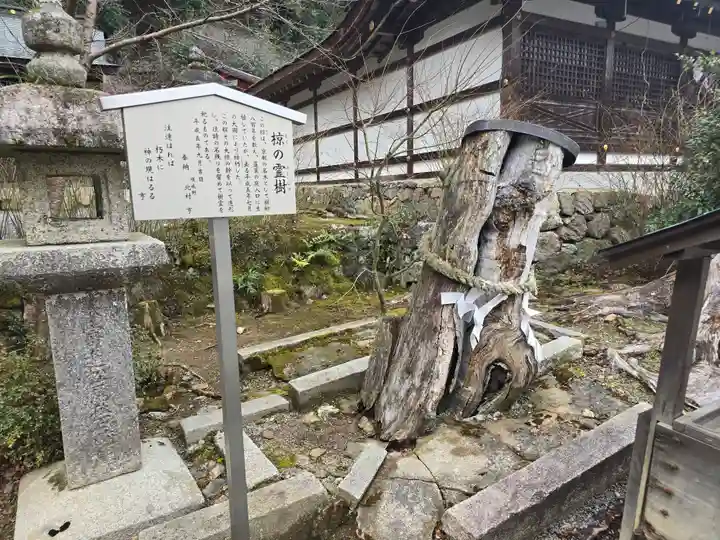 松尾大社(京都府)