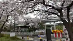 隅田川神社の鳥居