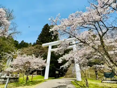 土津神社｜こどもと出世の神さまの鳥居