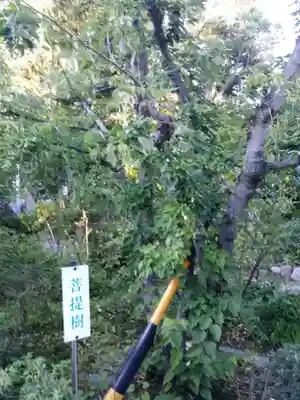 宝寿院のその他建物