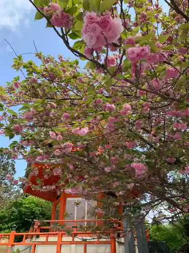 正法寺(京都府)