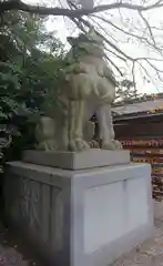 寒川神社の狛犬