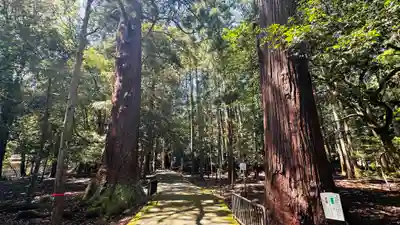 若狭彦神社（上社）(福井県)