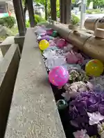 群馬県護国神社(群馬県)