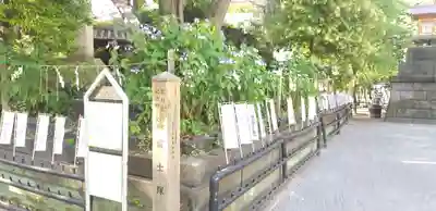 素盞雄神社のその他建物