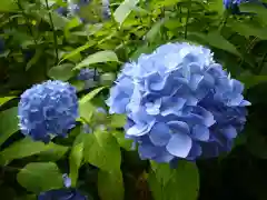 鷲子山上神社の自然