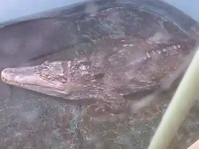 鑁阿寺(栃木県)