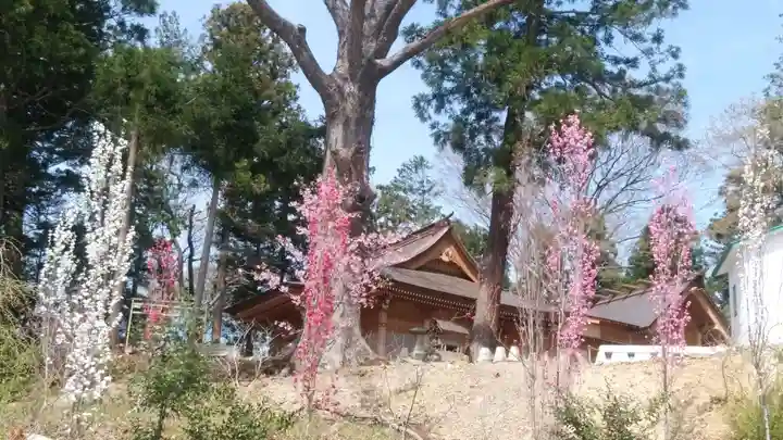 阿久津「田村神社」(郡山市阿久津町)旧社名:伊豆箱根三嶋三社の自然
