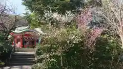 芝東照宮の自然