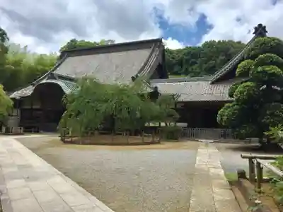 観福寺の本殿・本堂