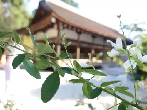 賀茂別雷神社（上賀茂神社）の自然