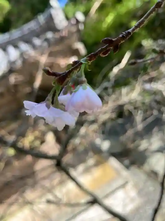 播州清水寺(兵庫県)