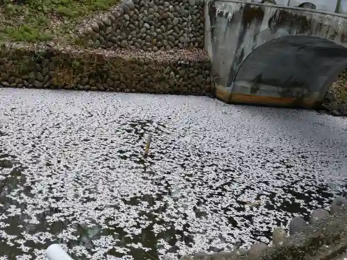 金峯神社の{uncategorized: "未分類", other: "その他", undefined: "問題あり", building: "その他建物", grave: "お墓", sacred_gate: "鳥居", guardian: "狛犬", statue: "像", buddha: "仏像", history: "歴史", nature: "自然", garden: "庭園", animal: "動物", pagoda: "塔", temizu: "手水舎", mountain_gate: "山門・神門", sanctuary: "本殿・本堂", subordinate: "末社・摂社", art: "芸術", scenery: "景色", jizo: "地蔵", ema: "絵馬", goshuin: "御朱印", omikuji: "おみくじ", items: "授与品その他", amulet: "お守り", goshuincho: "御朱印帳", eats: "食事", festival: "お祭り", votive_dance: "神楽", shichigosan: "七五三参", wedding: "結婚式", experience: "体験その他", initially: "初詣", around: "周辺", anti_infection: "感染症対策"}