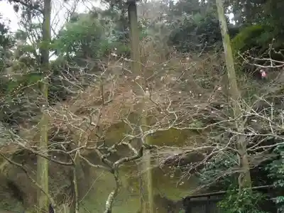 東慶寺の自然