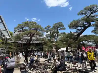 葛井寺(大阪府)