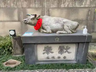 櫻天神社の狛犬