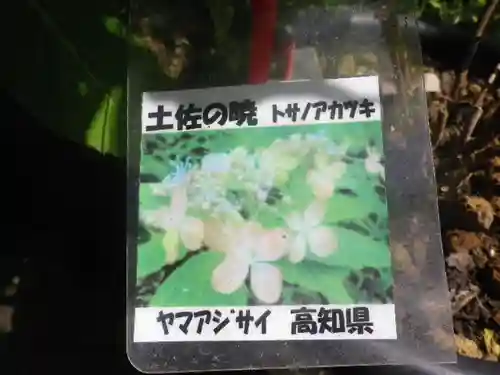 光則寺(神奈川県)