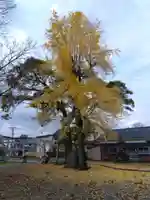天満神社(福井県)