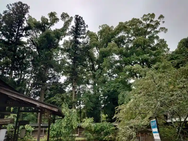 小御門神社(千葉県)