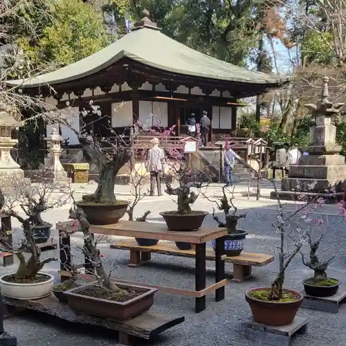 石山寺のその他建物