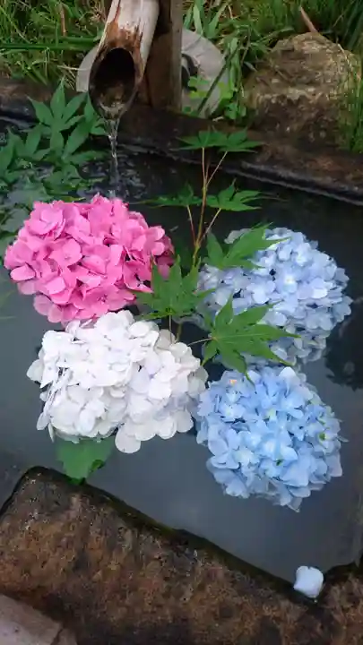 国宝 大法寺の手水舎