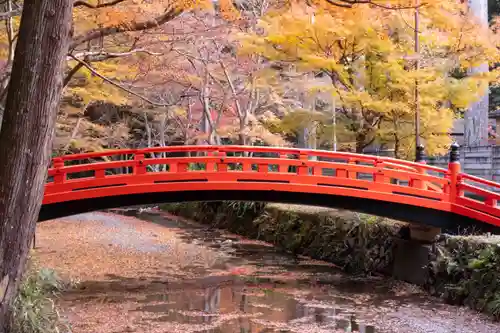 小國神社(静岡県)